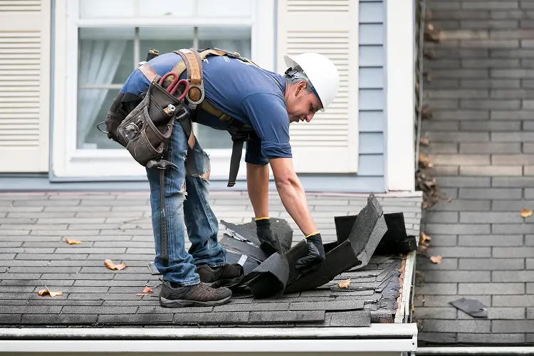 Roofing & Gutter Services in Owings Mills, MD